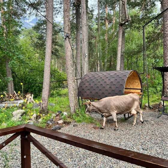 A-Frame Домик 6 местный 56 кв.м, МАЛКЪАР ХАУС