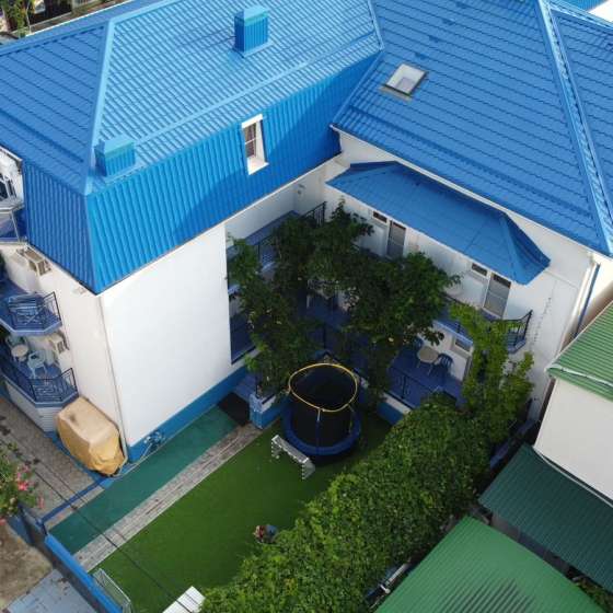 «Алекс»