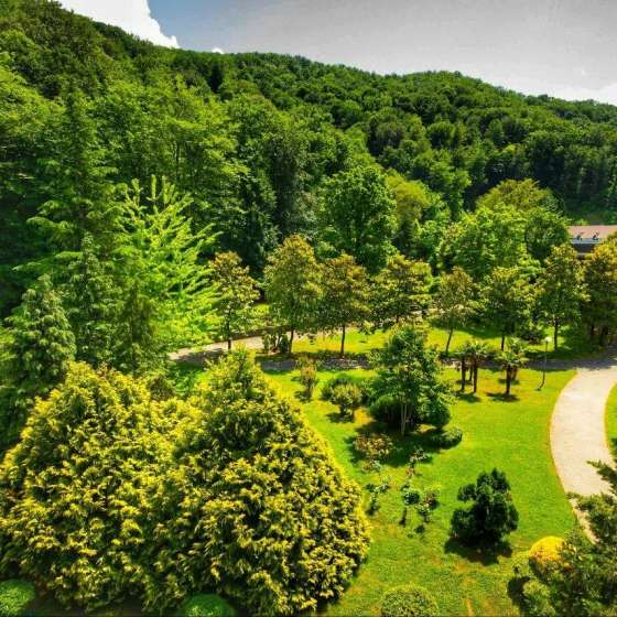 Saltykov Agoy Resort