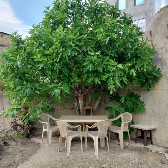 отдельный дом