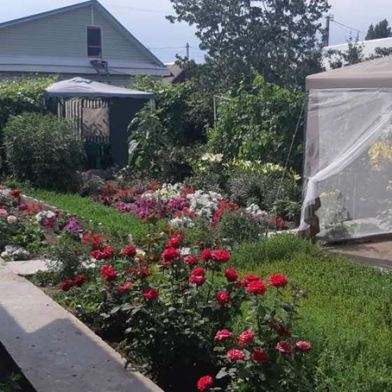 Комната