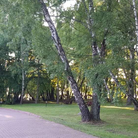 Апартамент