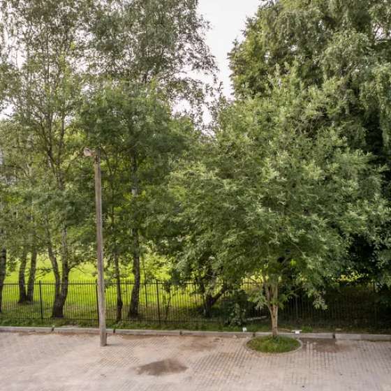 Апартамент