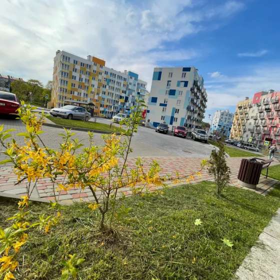 1-комнатная квартира