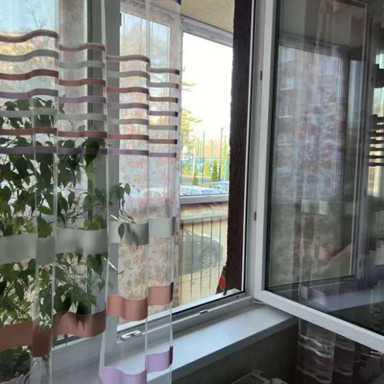 Студия
