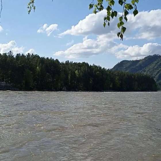 База отдыха «Феникс »