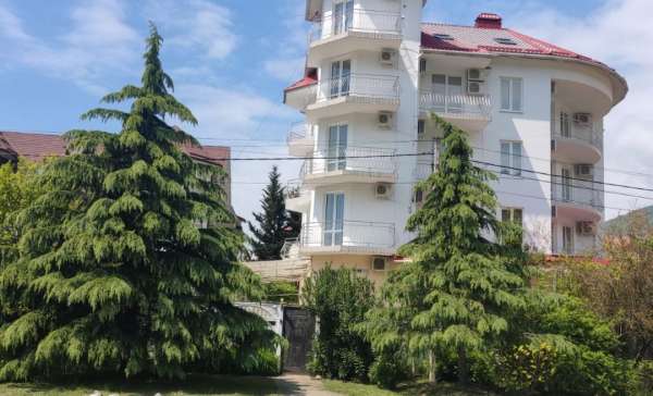 Лазаревское, скарлетт