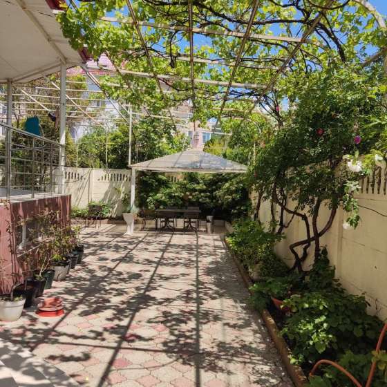 Скарлетт