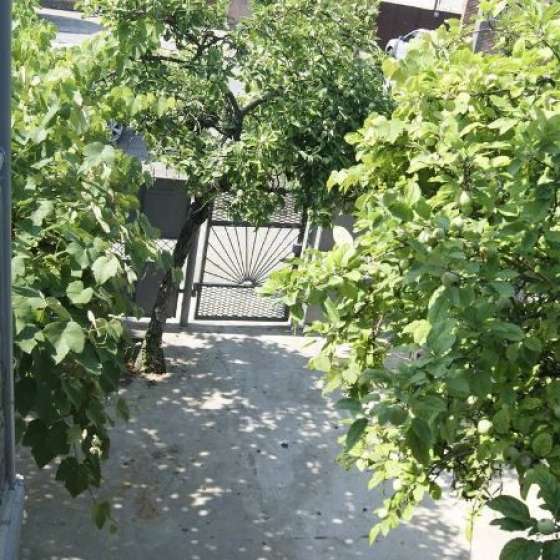 «Виноград» дом под-ключ в Сухуме