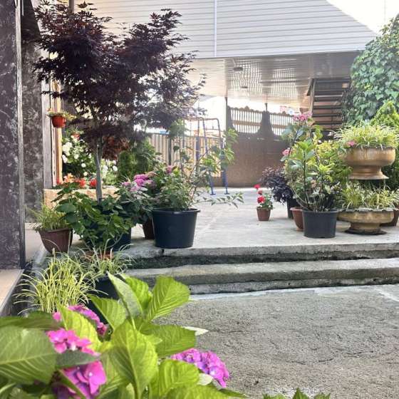 Allegro Home