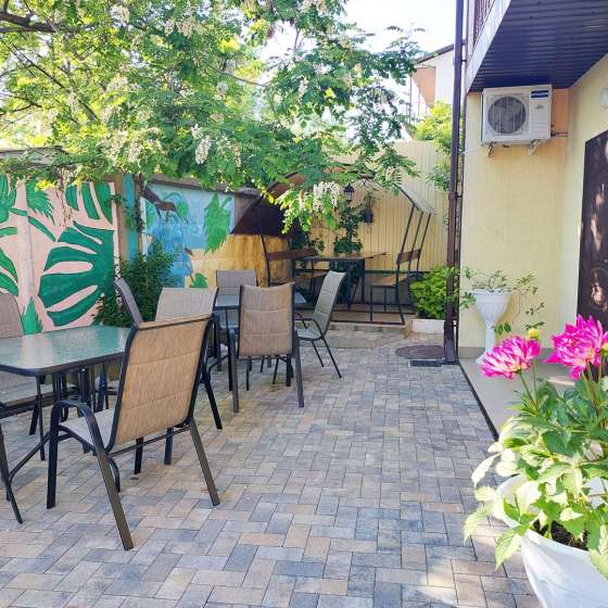 Колибри