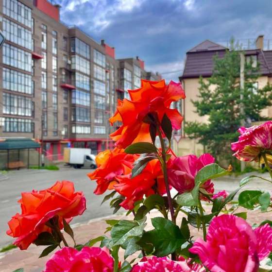 Апартаменты Изумрудная роскошь, новостройка