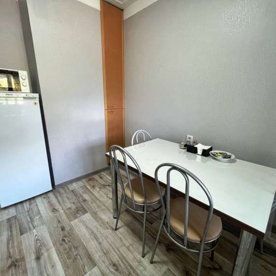 1-комнатная квартира    Пирогова улица, 17к3