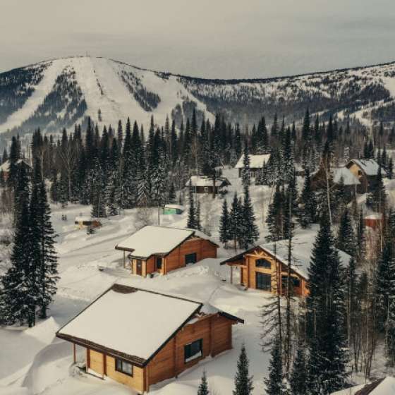 Альпийский
