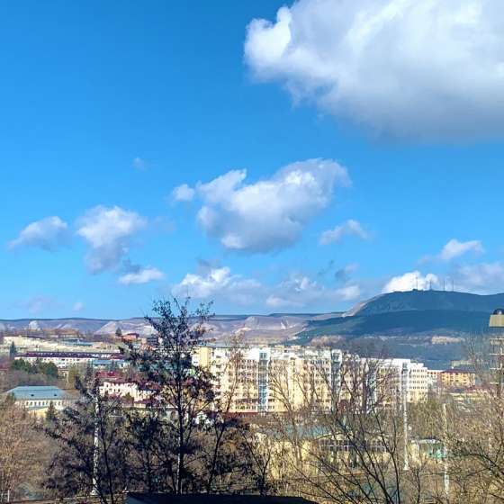 Трёхкомнатная квартира с видом на Курортный парк.