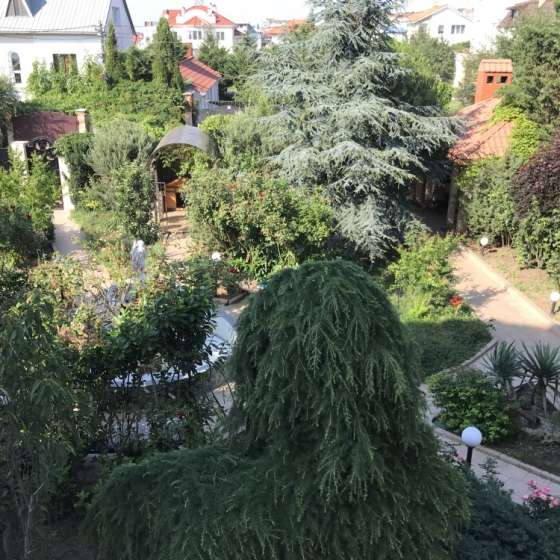 «Море Солнца»