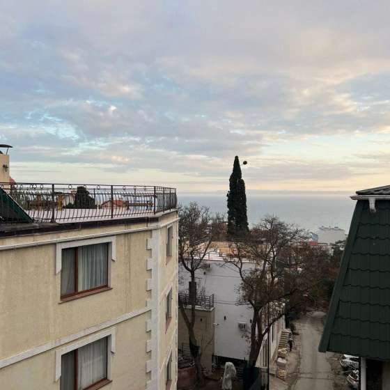 Кипарис