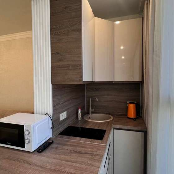 Апартаменты 11 в апарт отеле на Роз 36 -(90)
