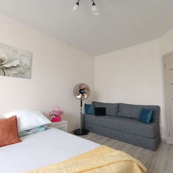 1-к. квартира, 46 м², 2 кровати