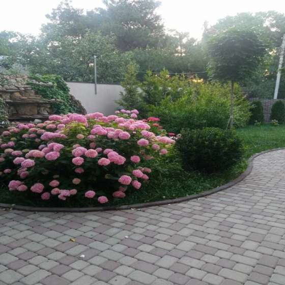 Гостевой дом «Елена»