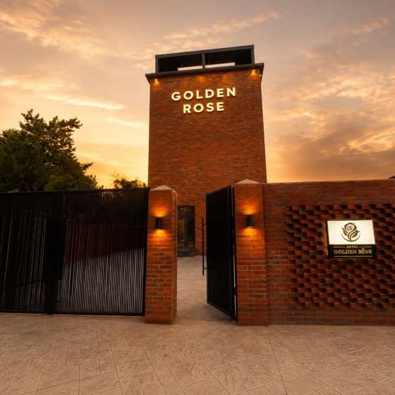 Golden Rose