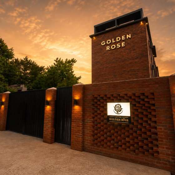 Golden Rose