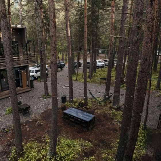 Хвоя Парк