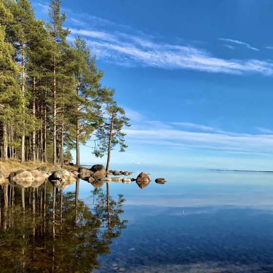 Карелия Медвежка