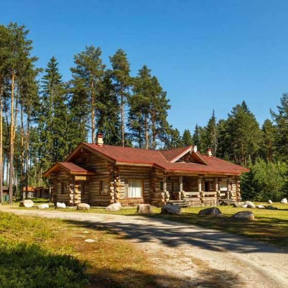 Медвежка в Карелии