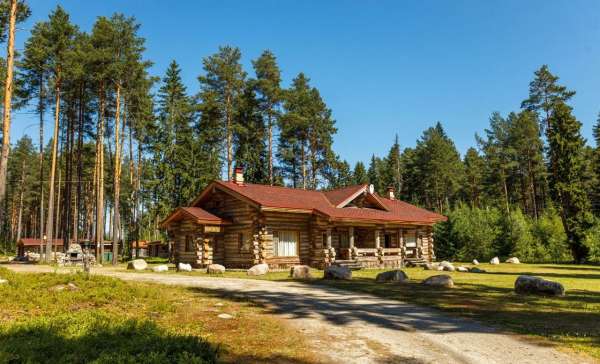 Медвежьегорск, медвежка в Карелии