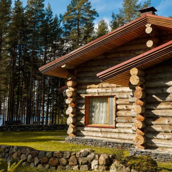 Медвежка в Карелии