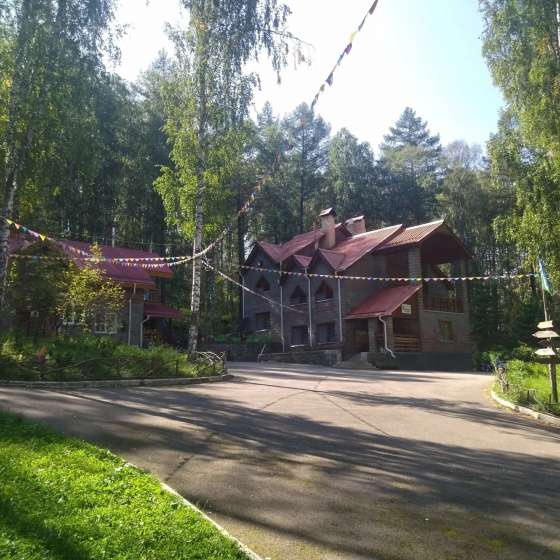 Снежный барс