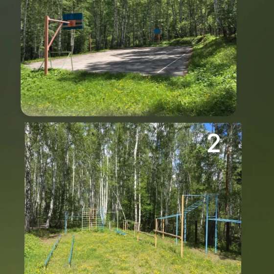 Снежный барс