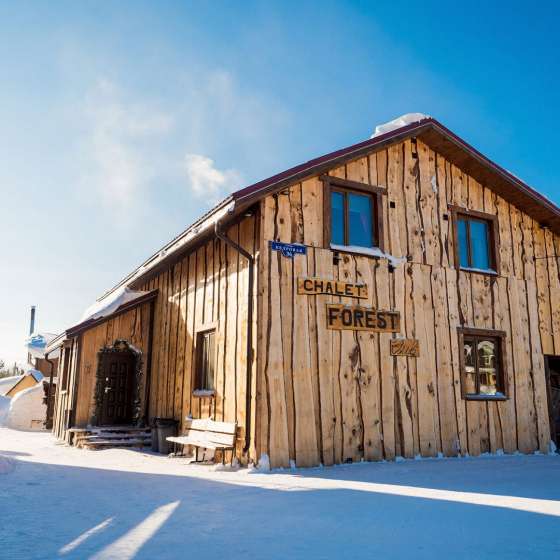 Дом Chalet Forestclub