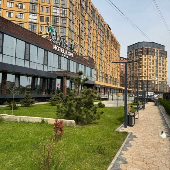 «ОАЗИС»